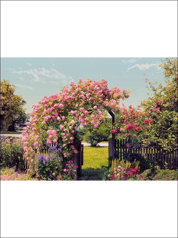 Komar 8-936 Rose Garden Wall Mural