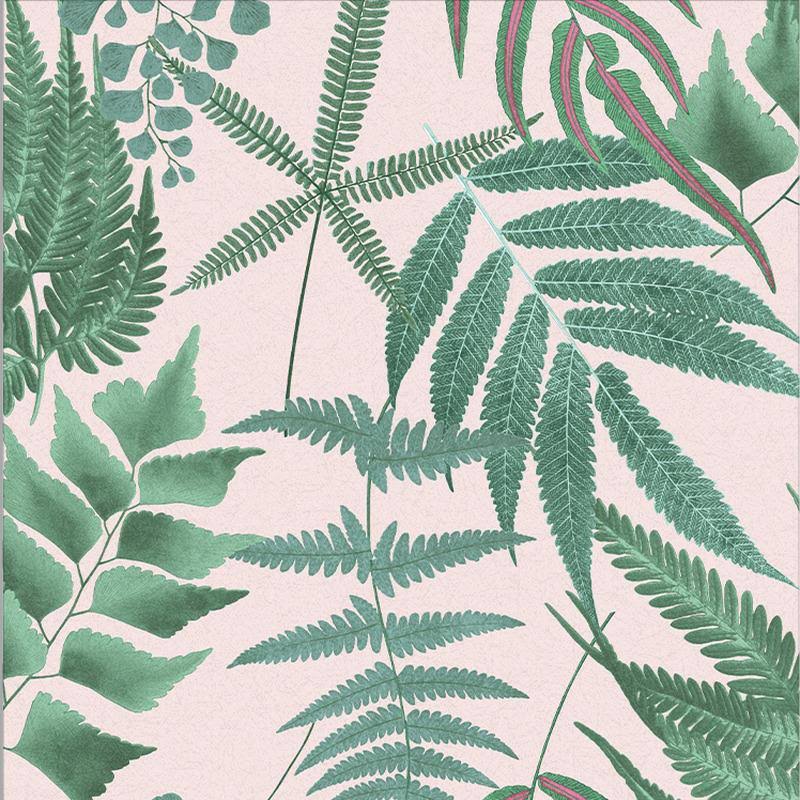 Graham u0026 Brown Midsummer Fern Blush Wallpaper
