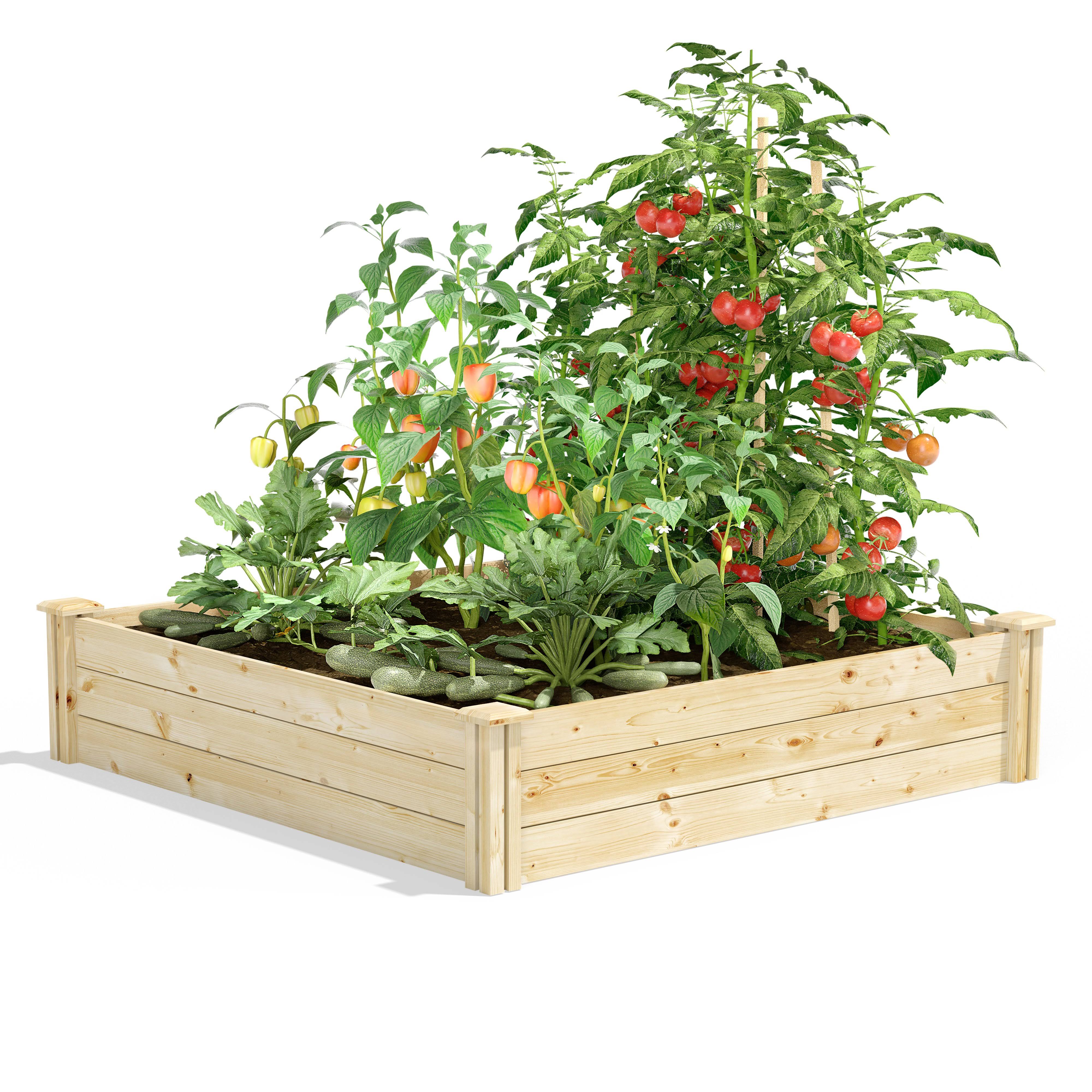 Greenes Fence Original Pine Raised Garden Bed, 4& x 4& x 10.5x22