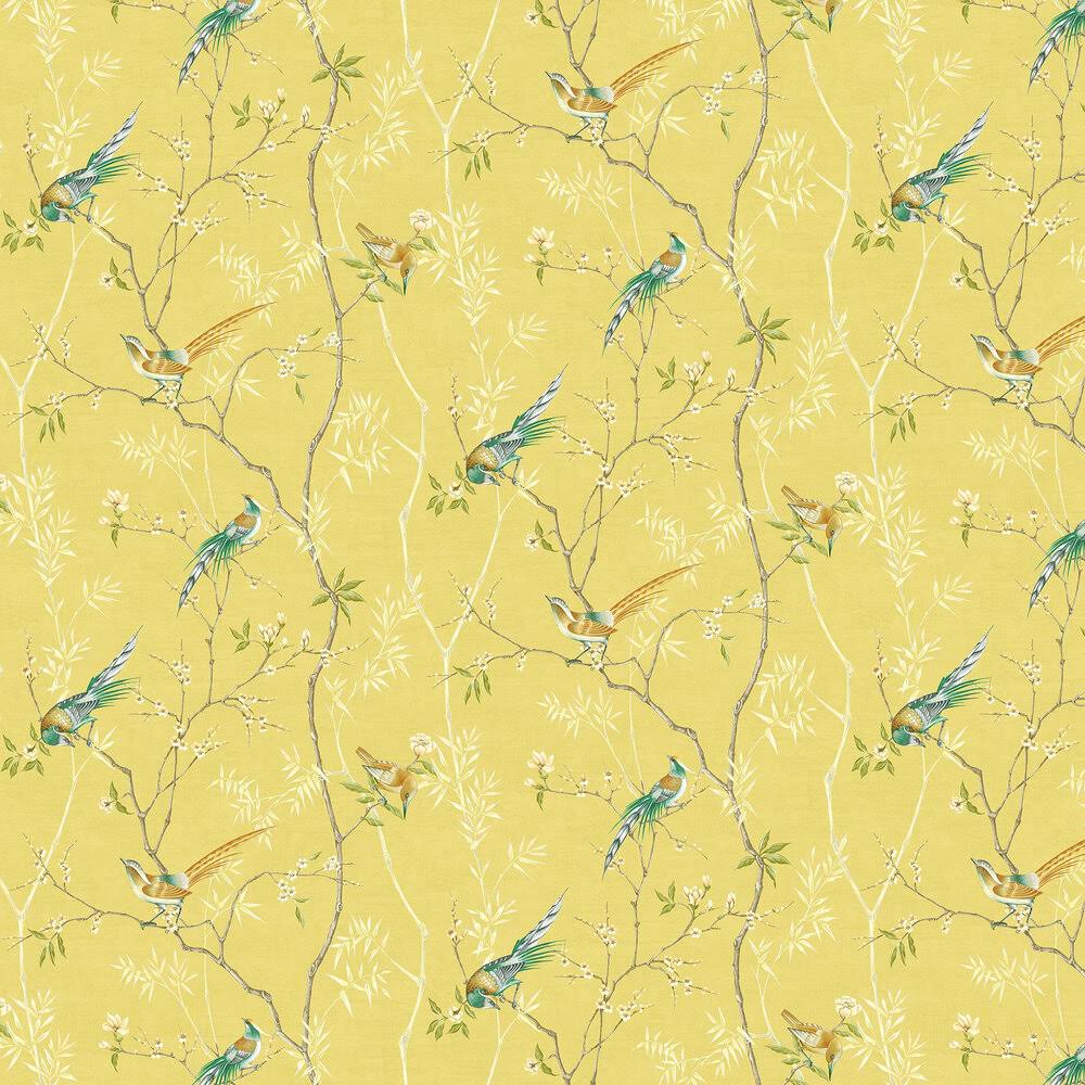 Graham u0026 Brown Tori Summer Wallpaper