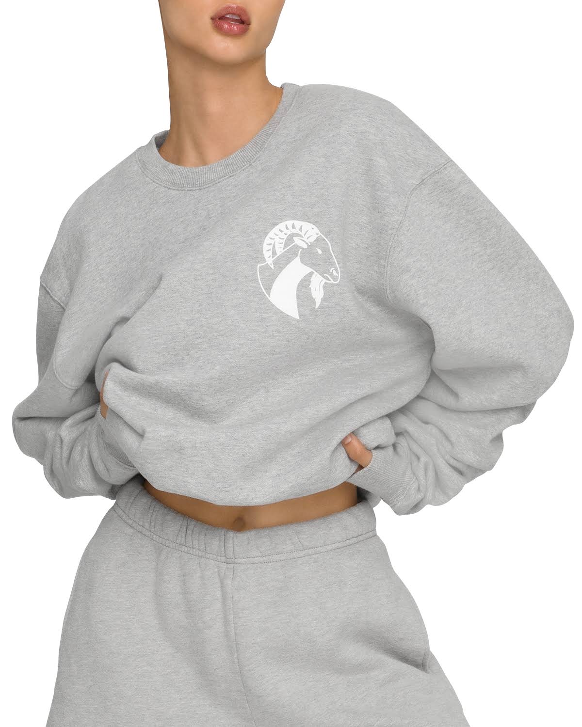 Women&s Capricorn Boyfriend Sweatshirt Size 3 | Good American