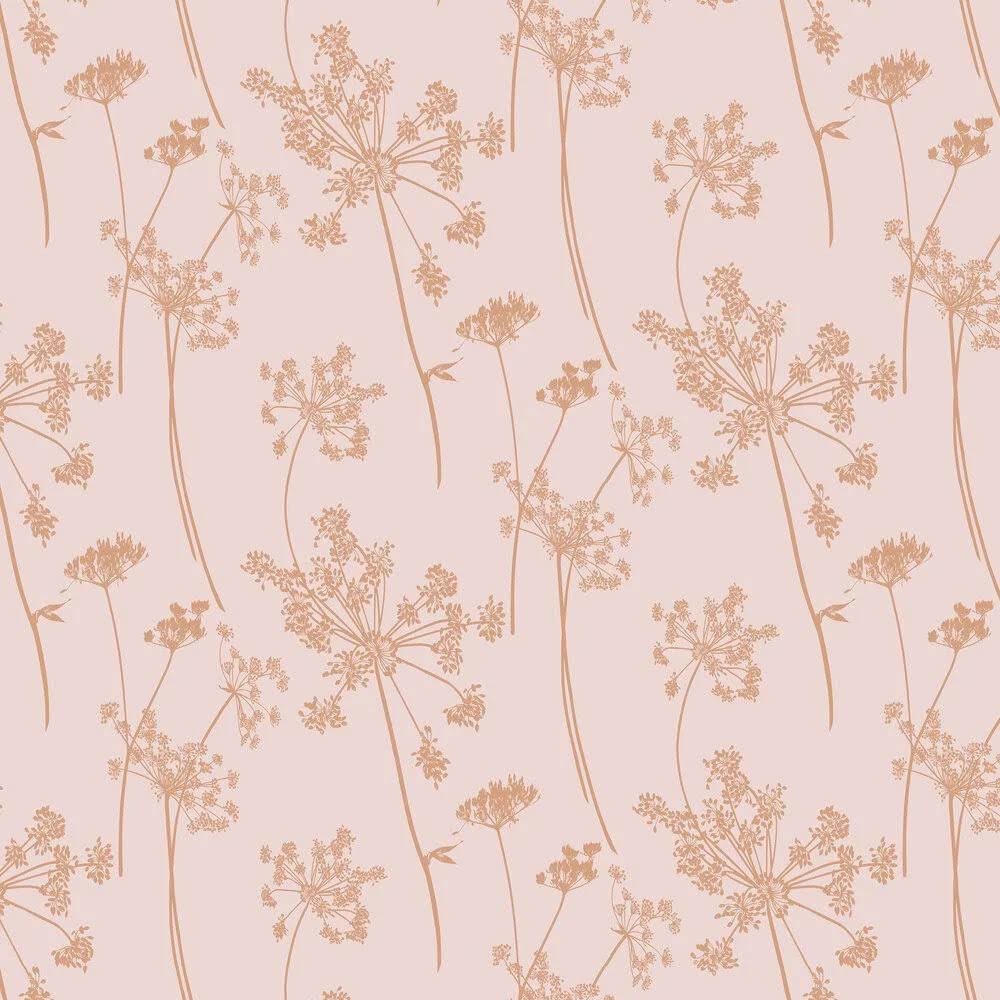Graham u0026 Brown Anthriscus Blush Wallpaper