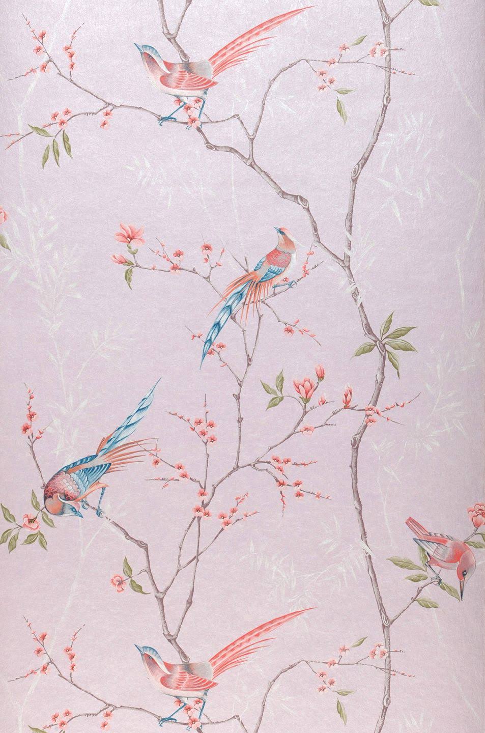 Graham u0026 Brown Tori Blossom Wallpaper