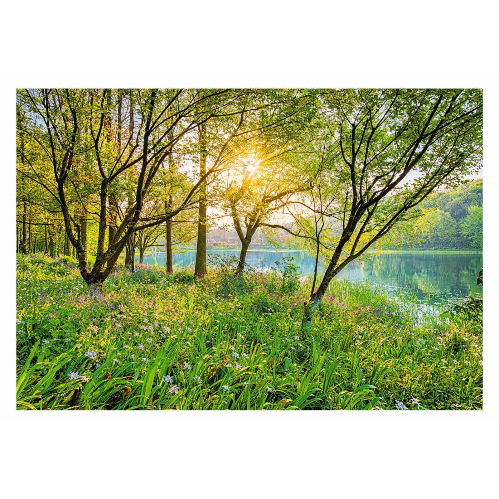 Komar Spring Lake Wall Mural