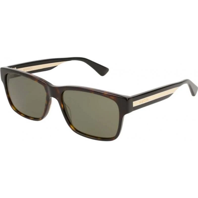 Sunglasses Gucci GG0340S 008