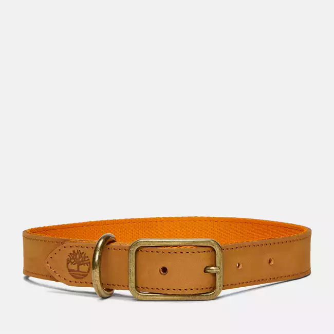 Small Leather Dog Collar