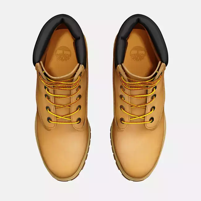 Men's Timberland® Premium 6-Inch Waterproof Boots