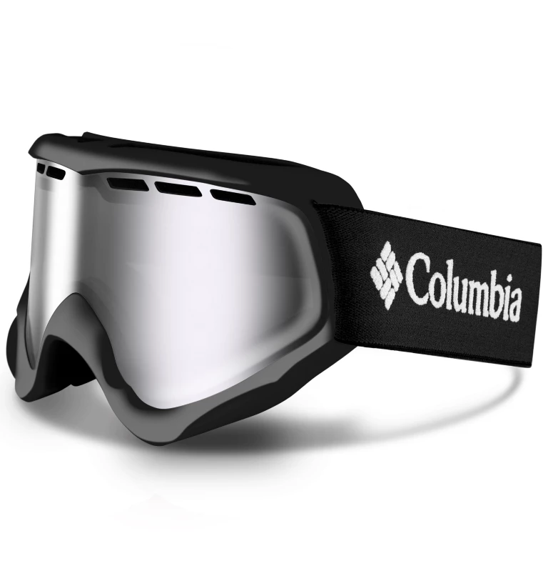 Whirlibird Ski Goggle - Small Black/Silver Ion