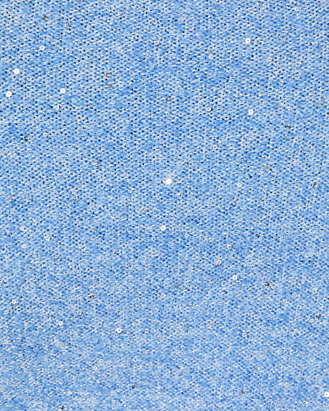 Morgen Sequin Sweater