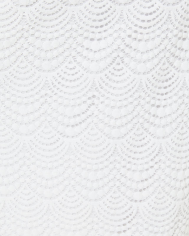 Bingham Lace Midi Dress