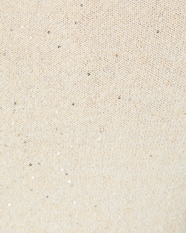 Morgen Sequin Sweater