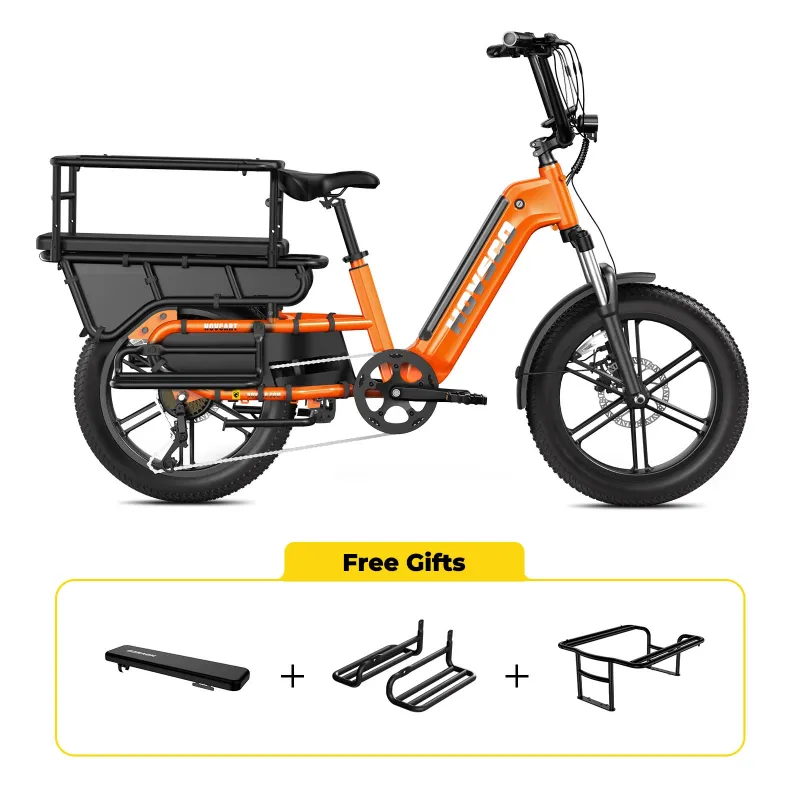 Step-Thru Electric Fat Tire Cargo Bike