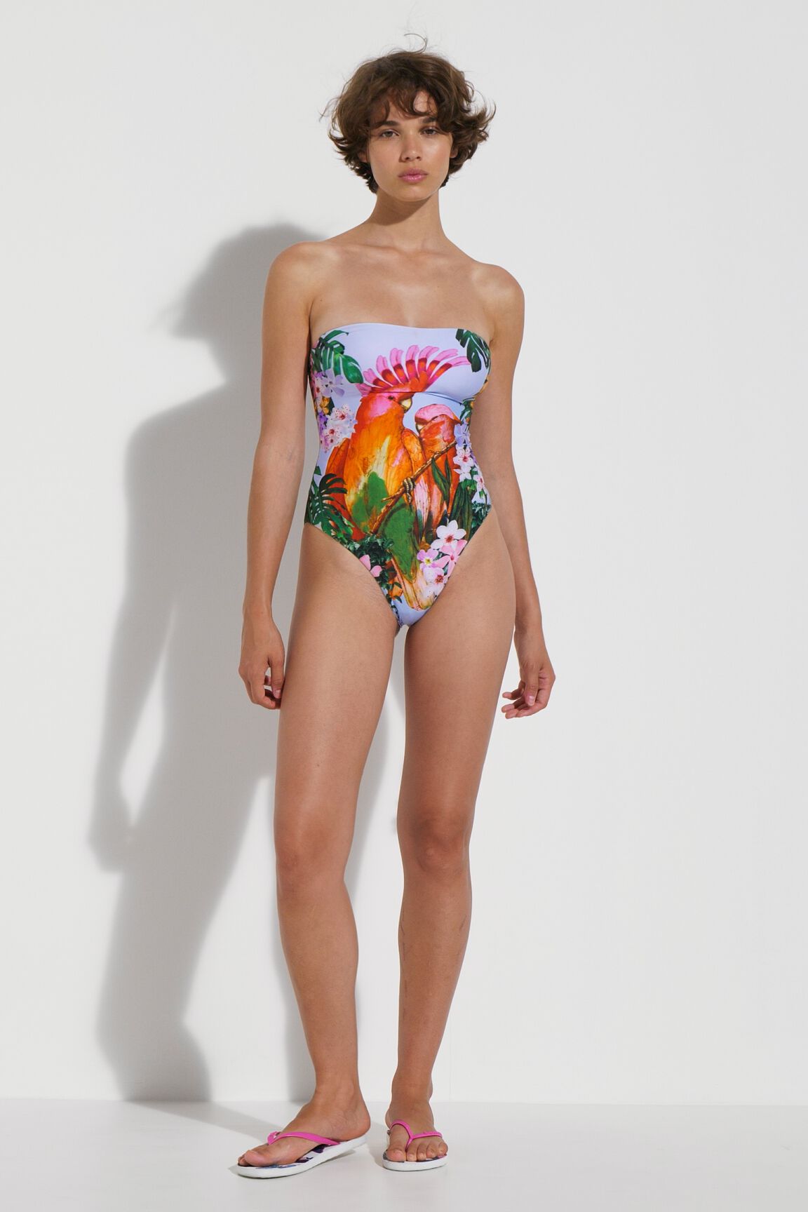Ba&ntilde;ador tropical