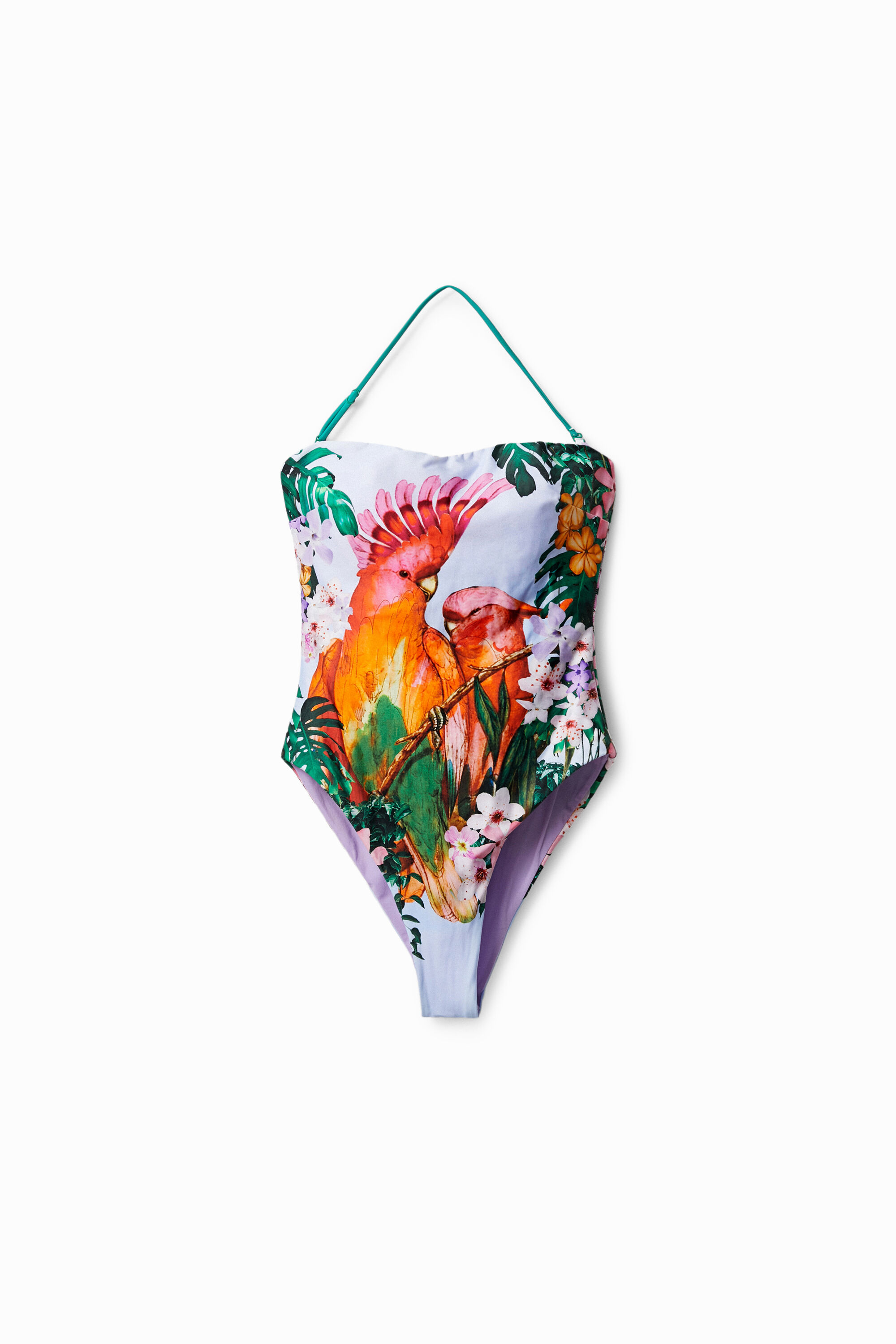 Ba&ntilde;ador tropical