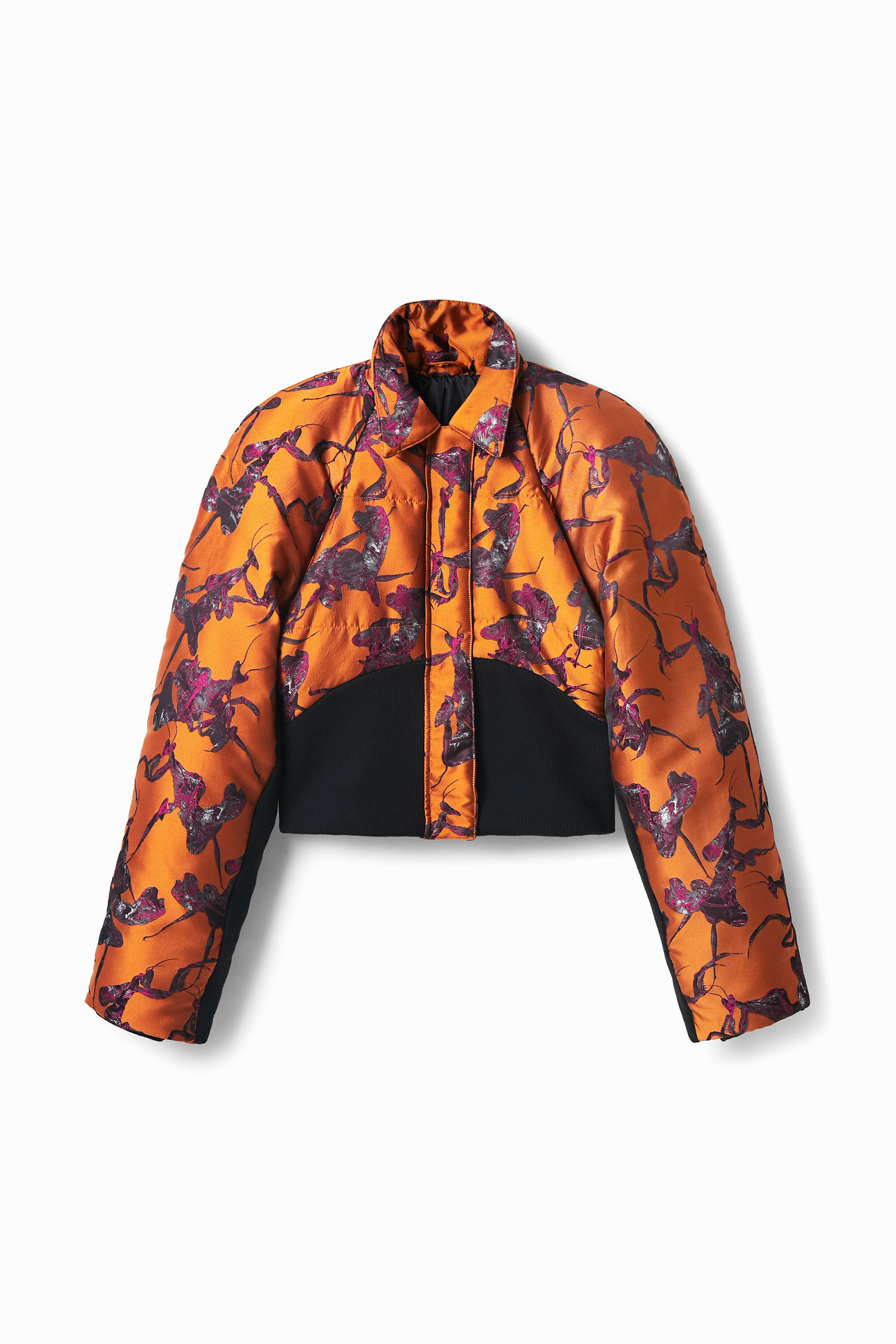 Cazadora bomber corta Maitrepierre