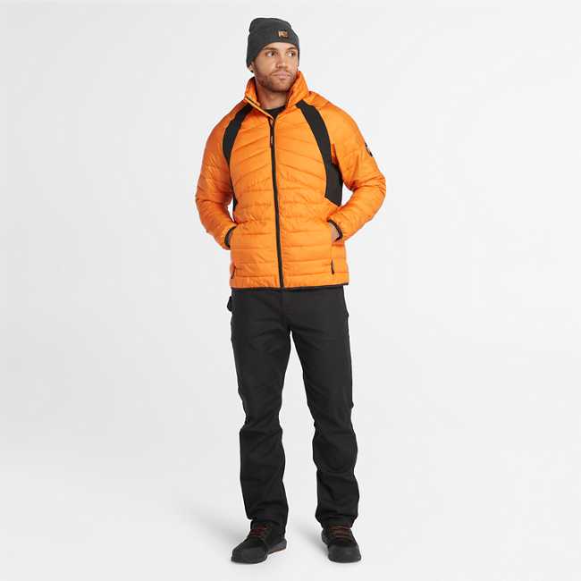 Men's Timberland PRO® Frostwall Insulated Jacket