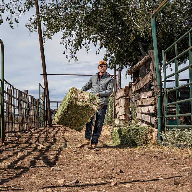 Men's Timberland PRO® Mt. Washington Athletic-Fit Insulated Jacket