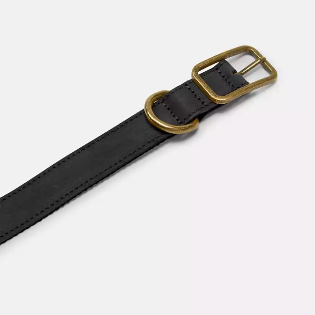Small Leather Dog Collar