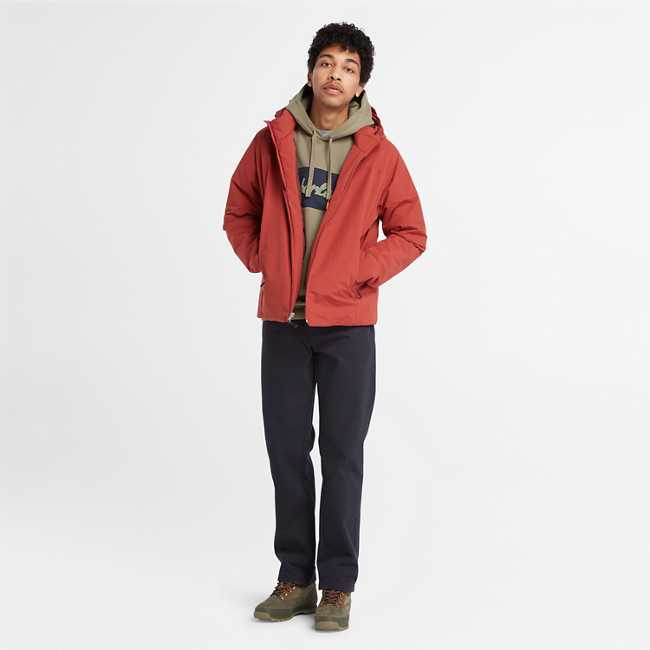 Men's Cursive Hoodie Sweatshirt