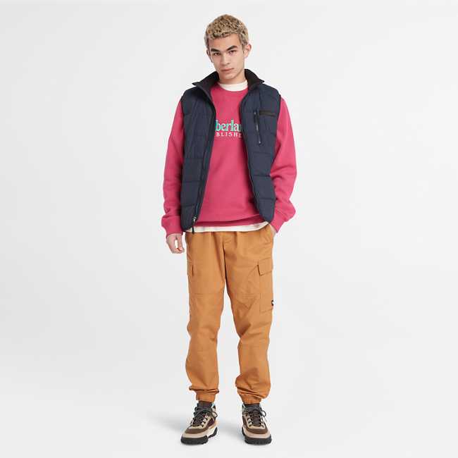 Men’s Water-Repellent Packable Vest