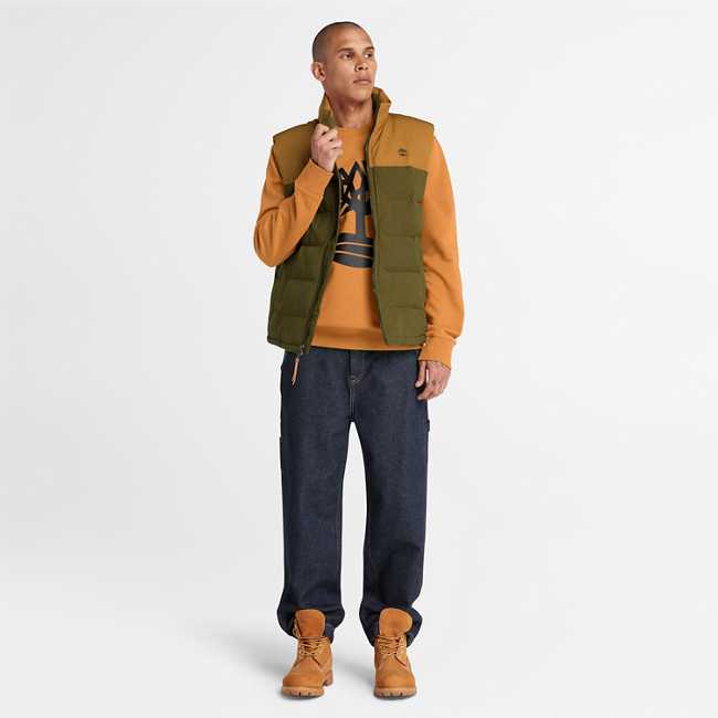 Men's Timberland Tree Logo Crewneck Sweatshirt