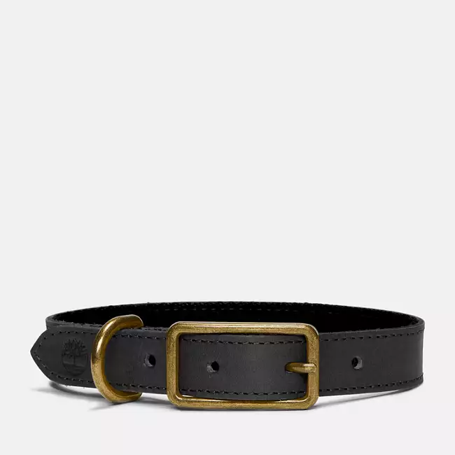 Large Leather Dog Collar
