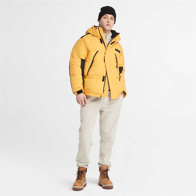 Men’s Polartec® Fleece Pant