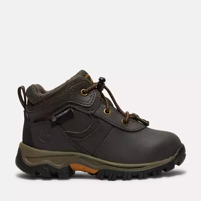 Toddler Mt. Maddsen Waterproof Mid Hiking Boot