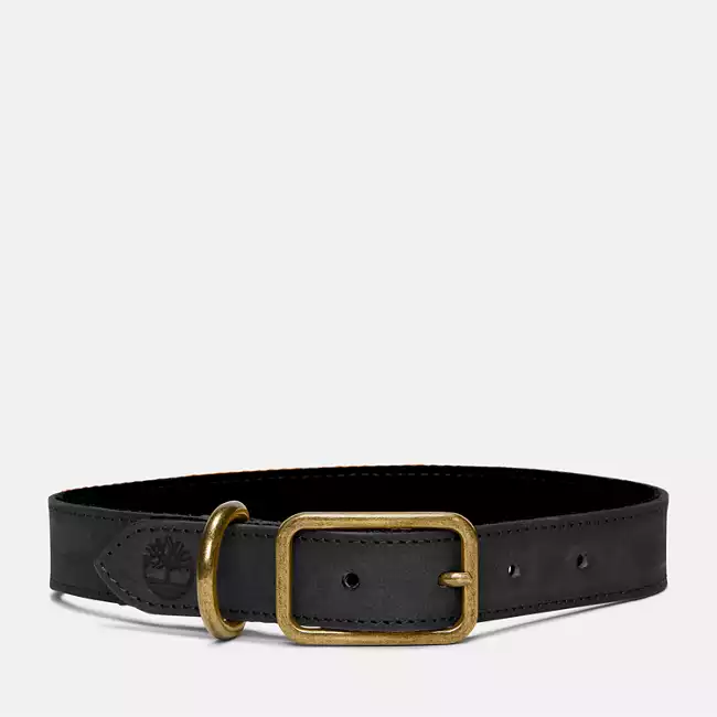 Small Leather Dog Collar