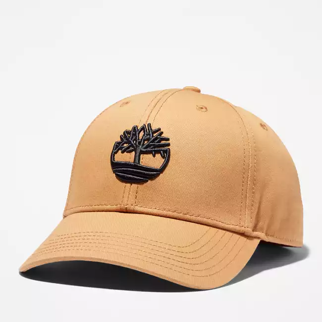 Embroidered-Logo Baseball Cap
