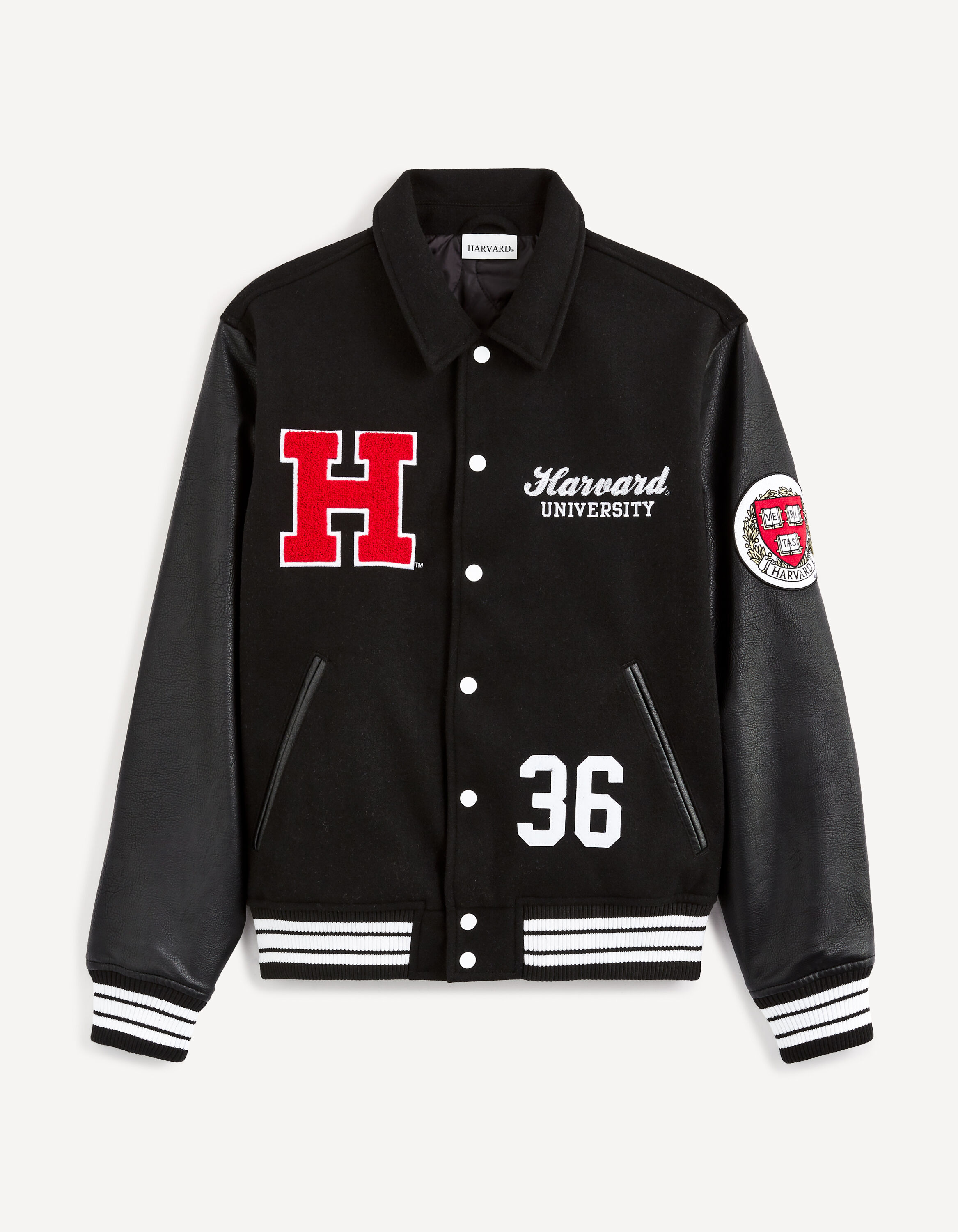 Teddy University of Harvard