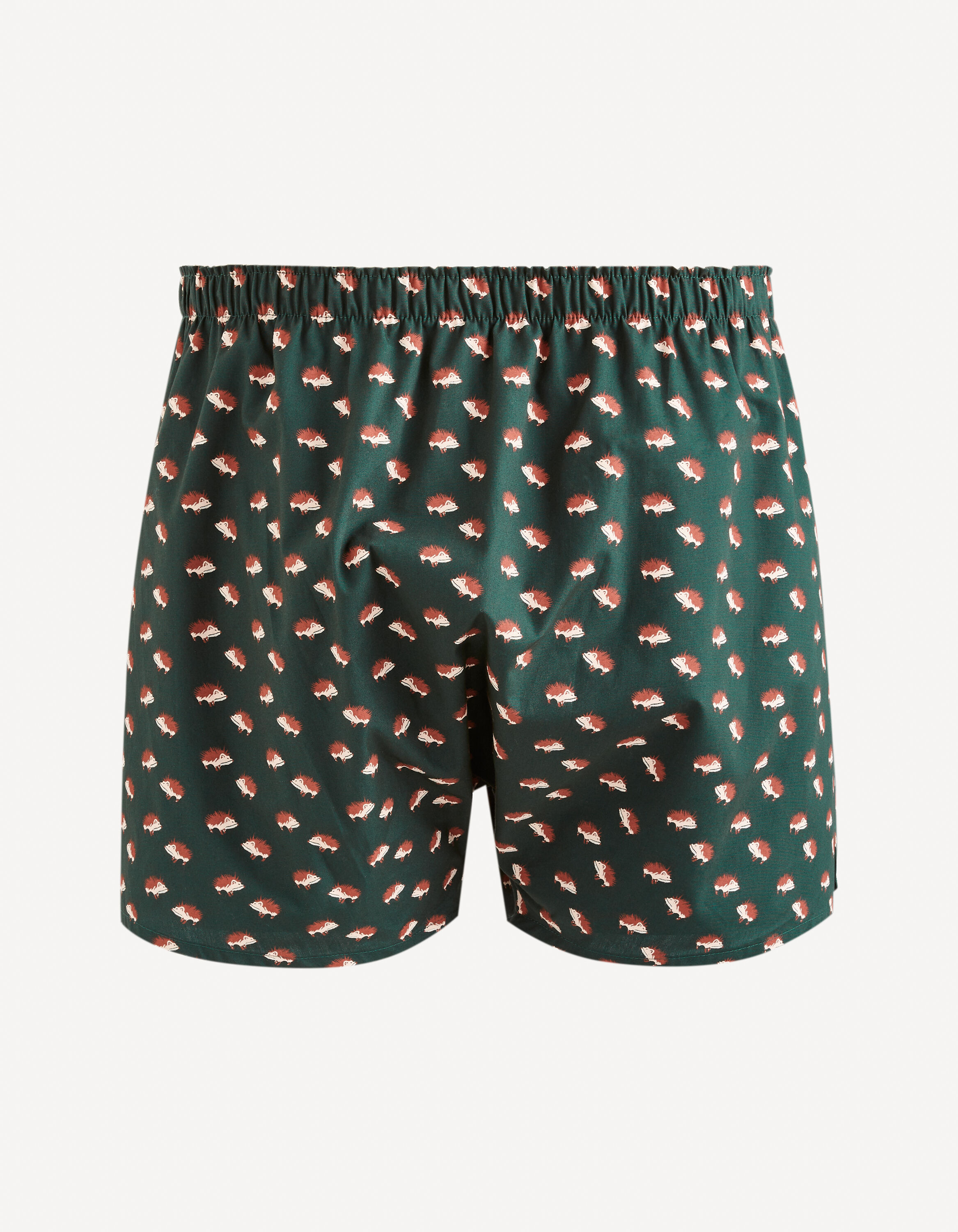 Cale&ccedil;on 100% coton - vert