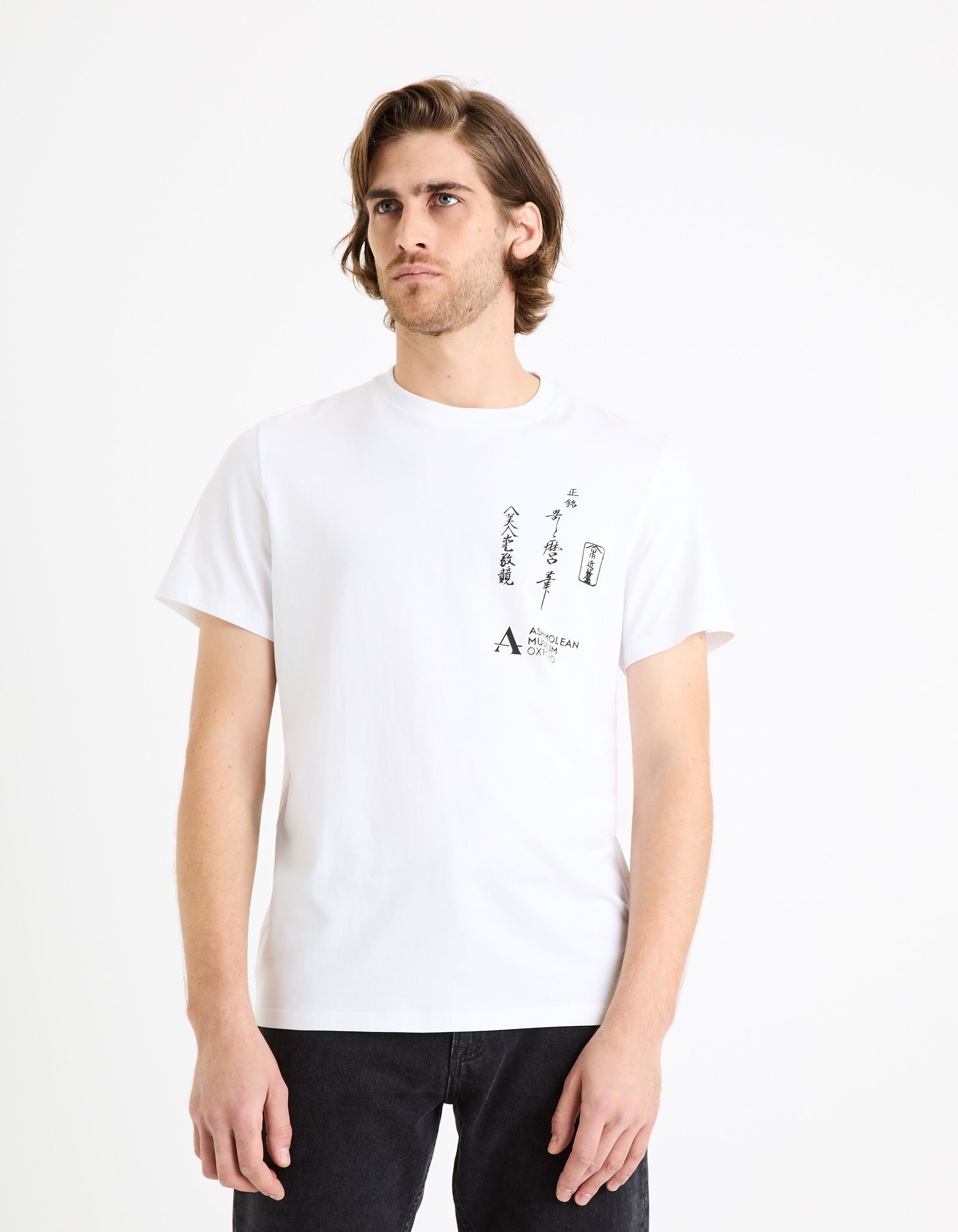 Ashmolean Museum x apoh - T-shirt