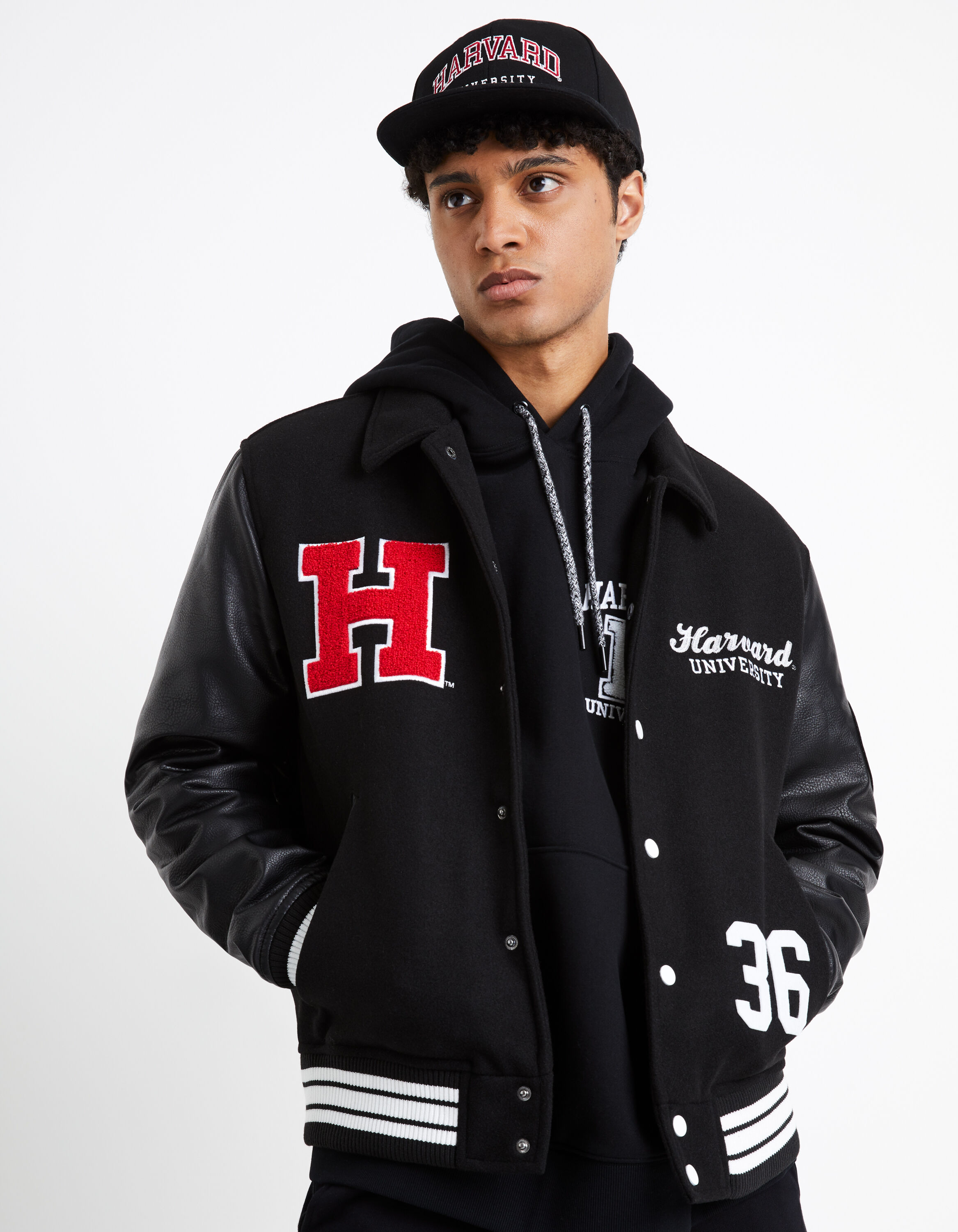 Teddy University of Harvard