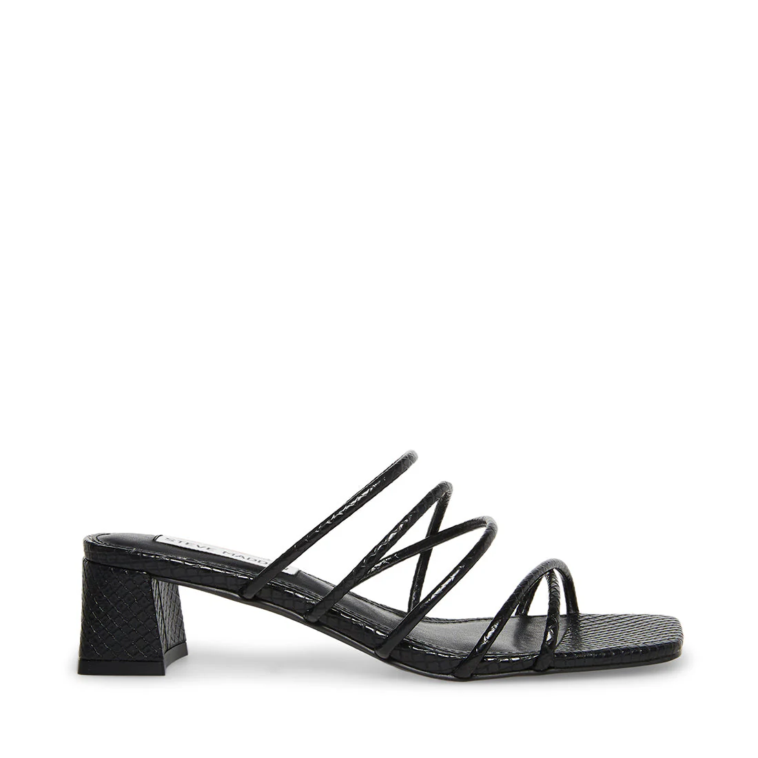 PAIGE BLACK SNAKE - SM REBOOTED