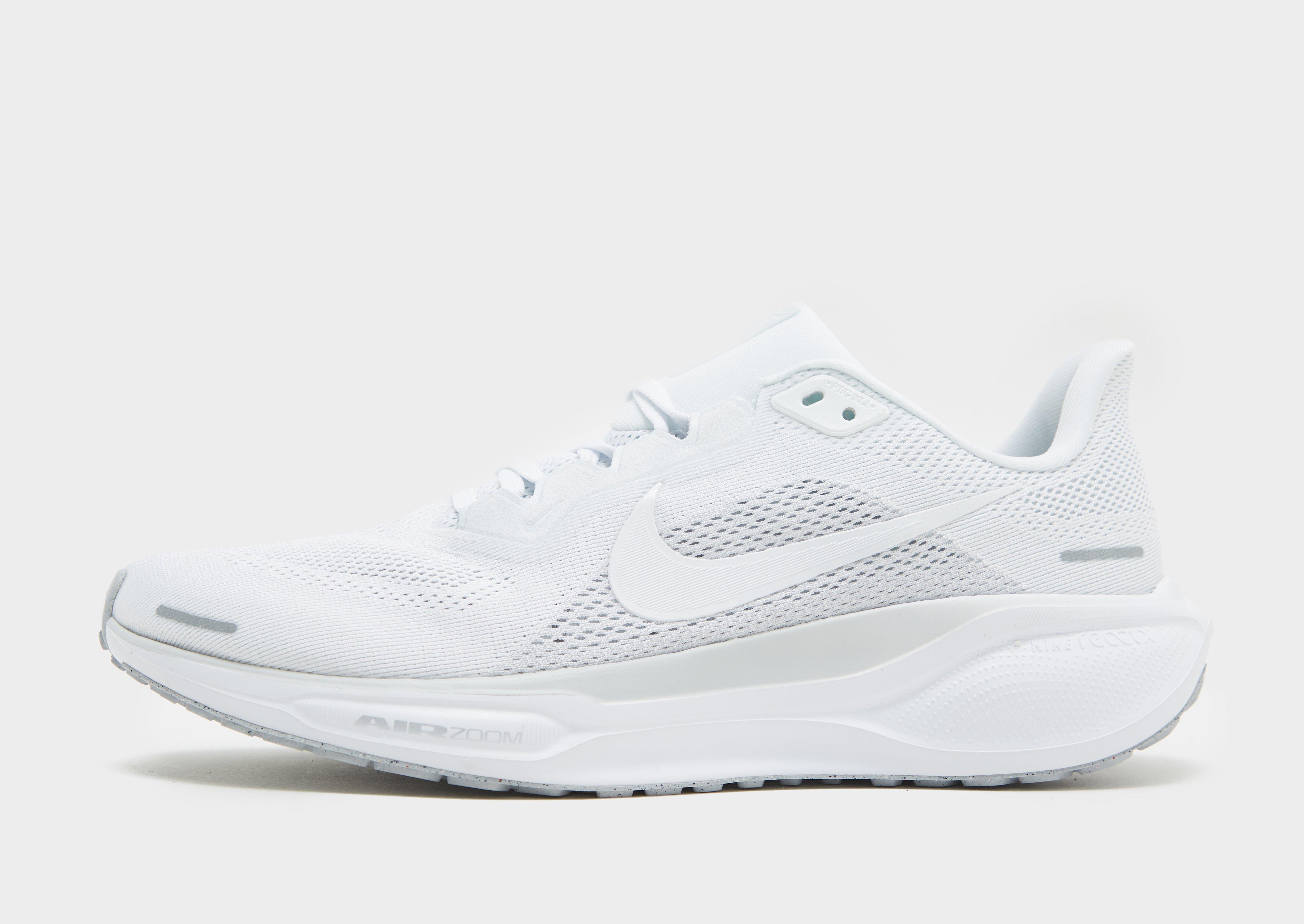 Pegasus 41