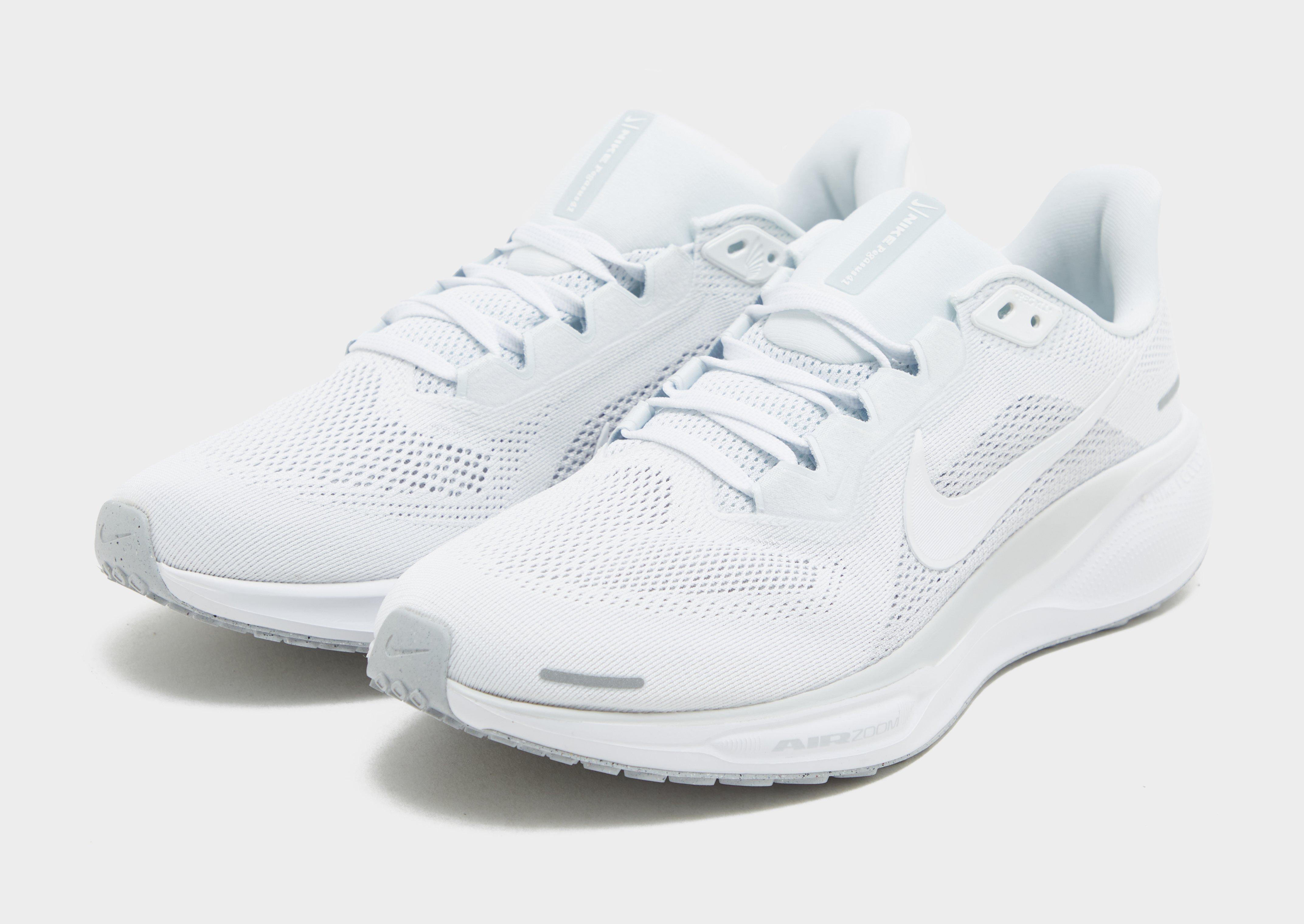 Pegasus 41