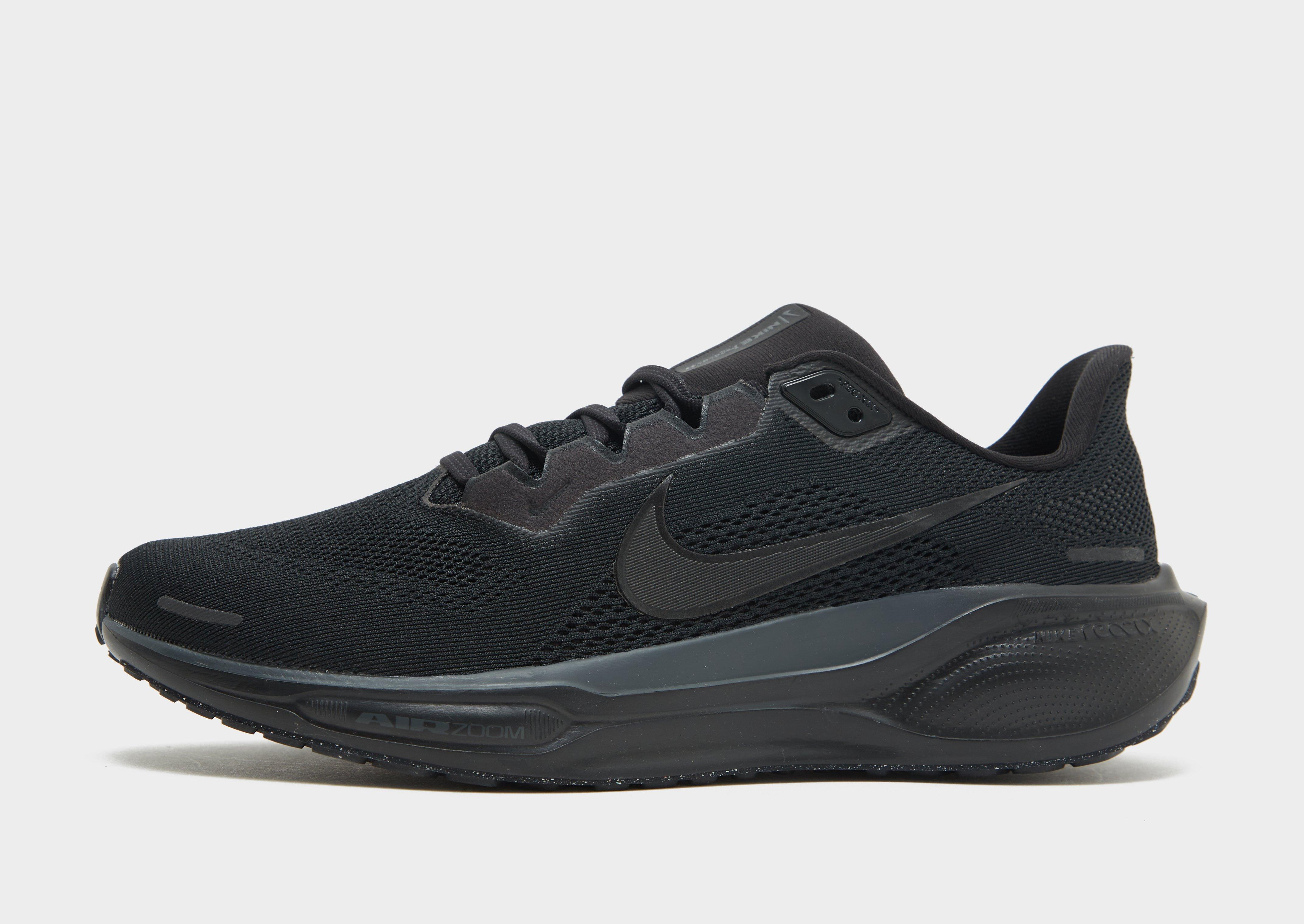 Pegasus 41