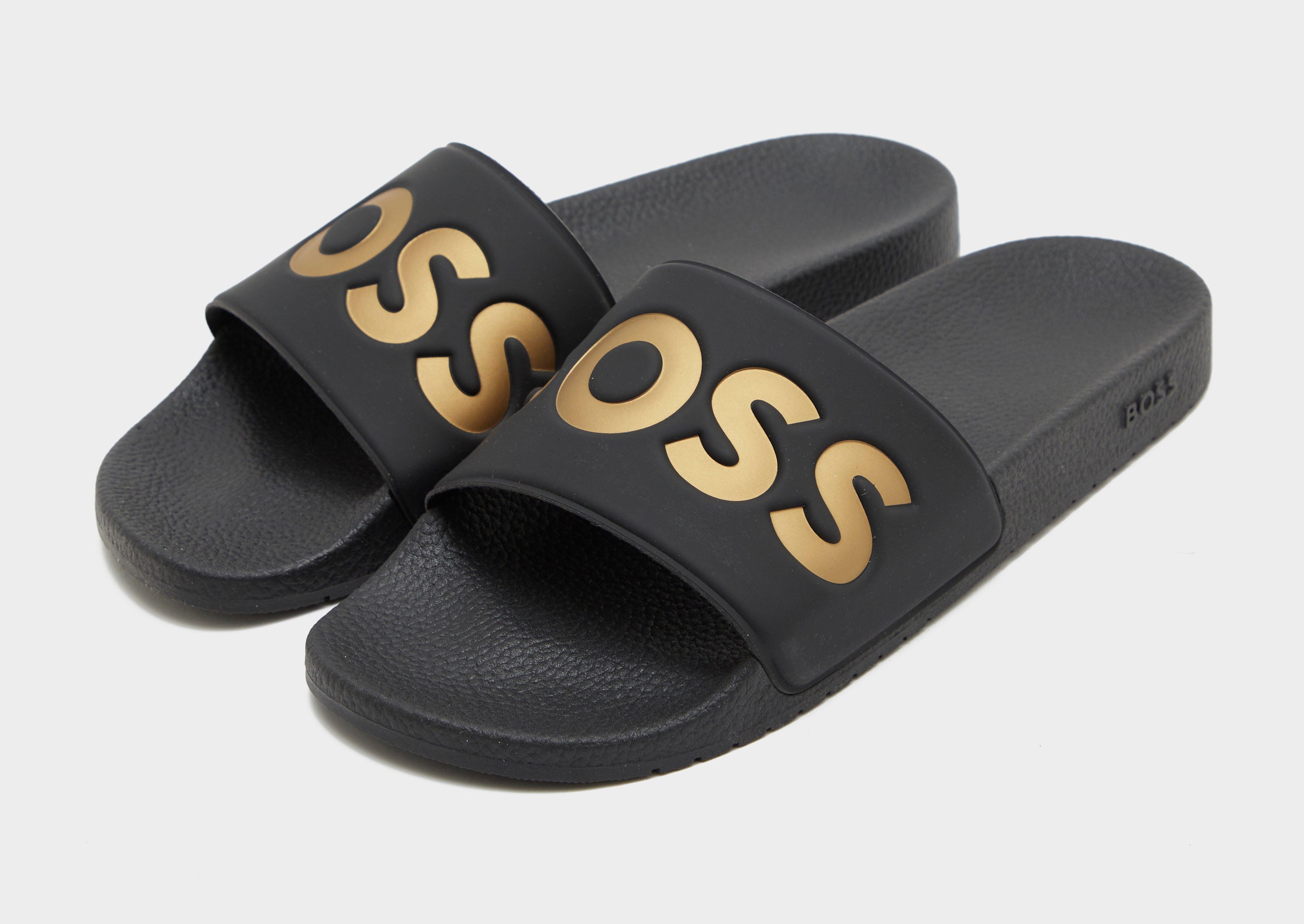Aryeh Slides