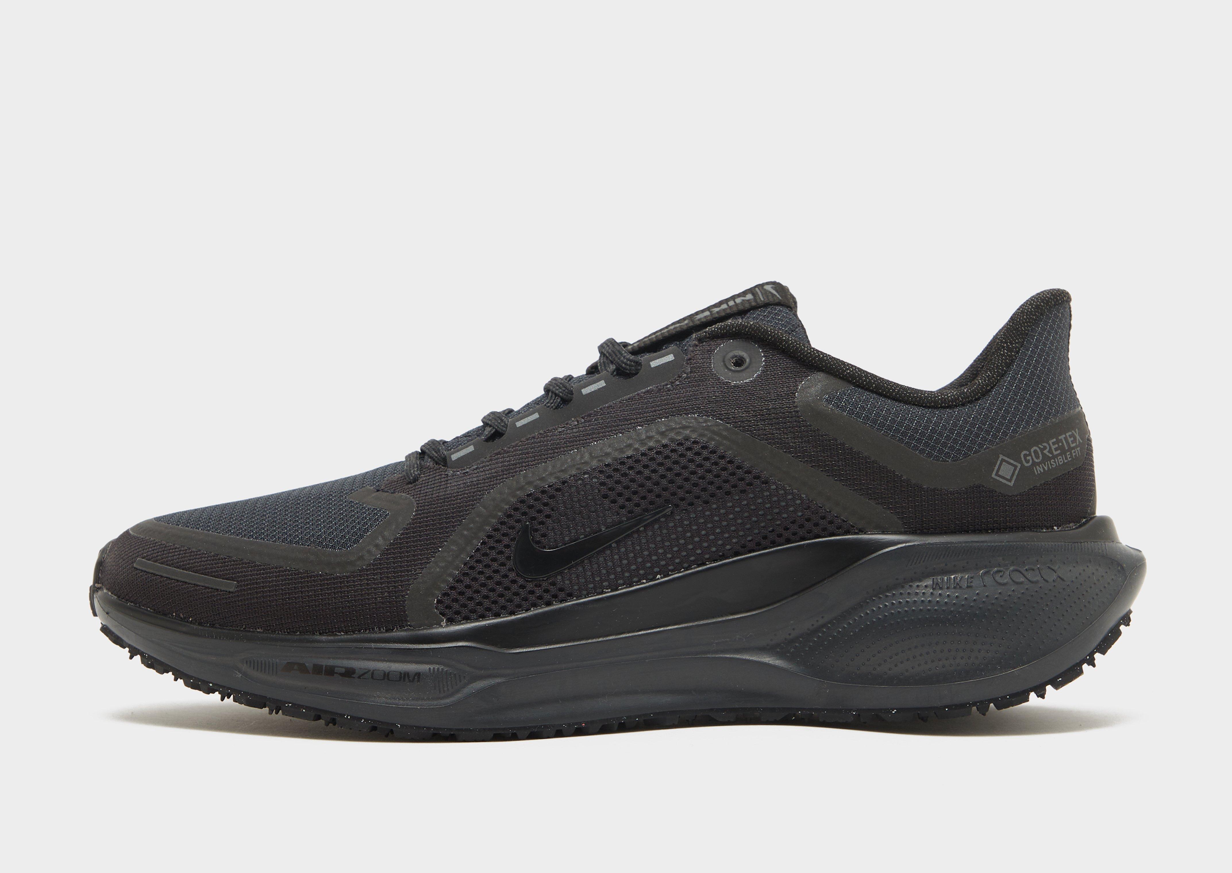Pegasus 41 GORE-TEX