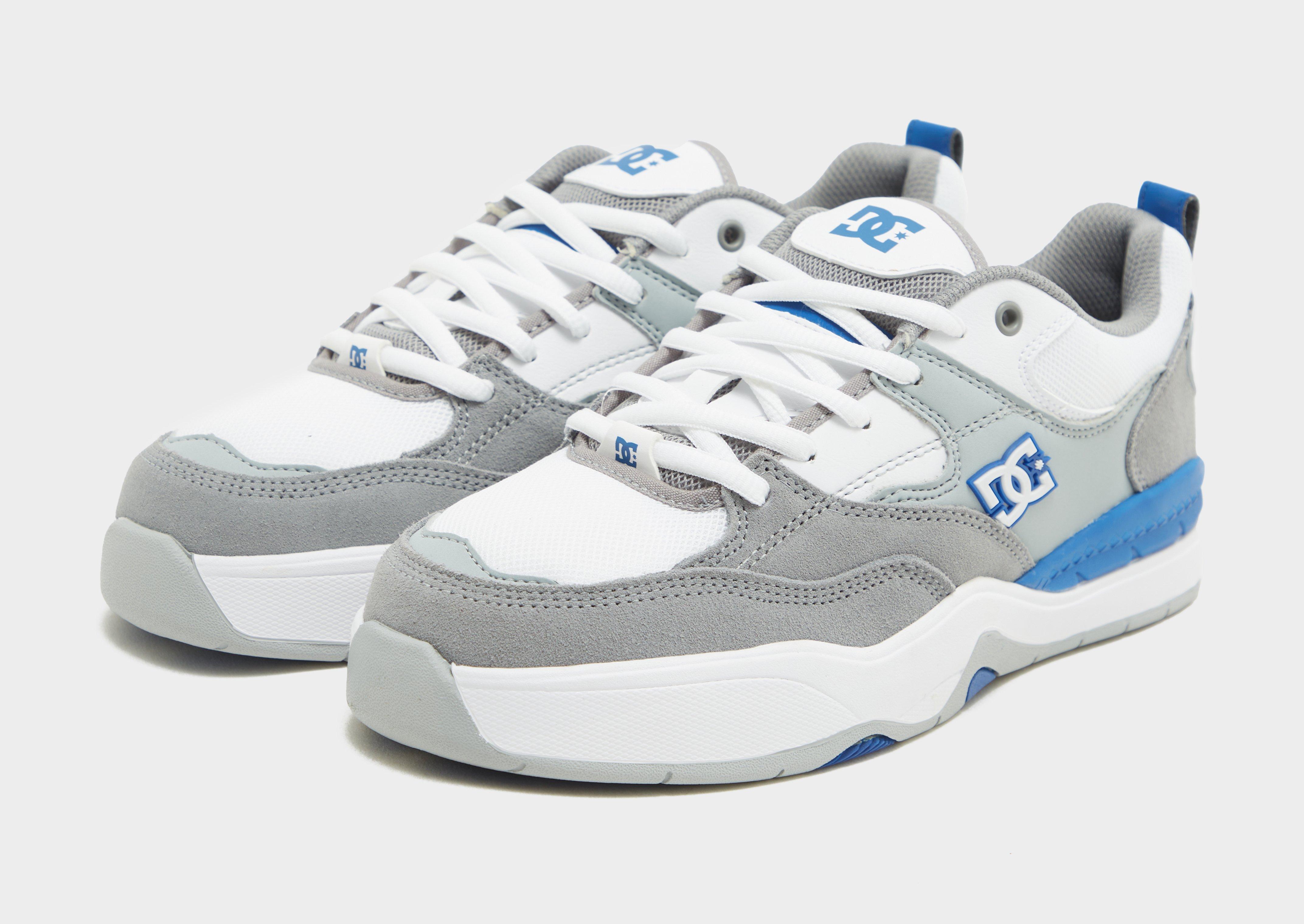 DC Shoes Ascend