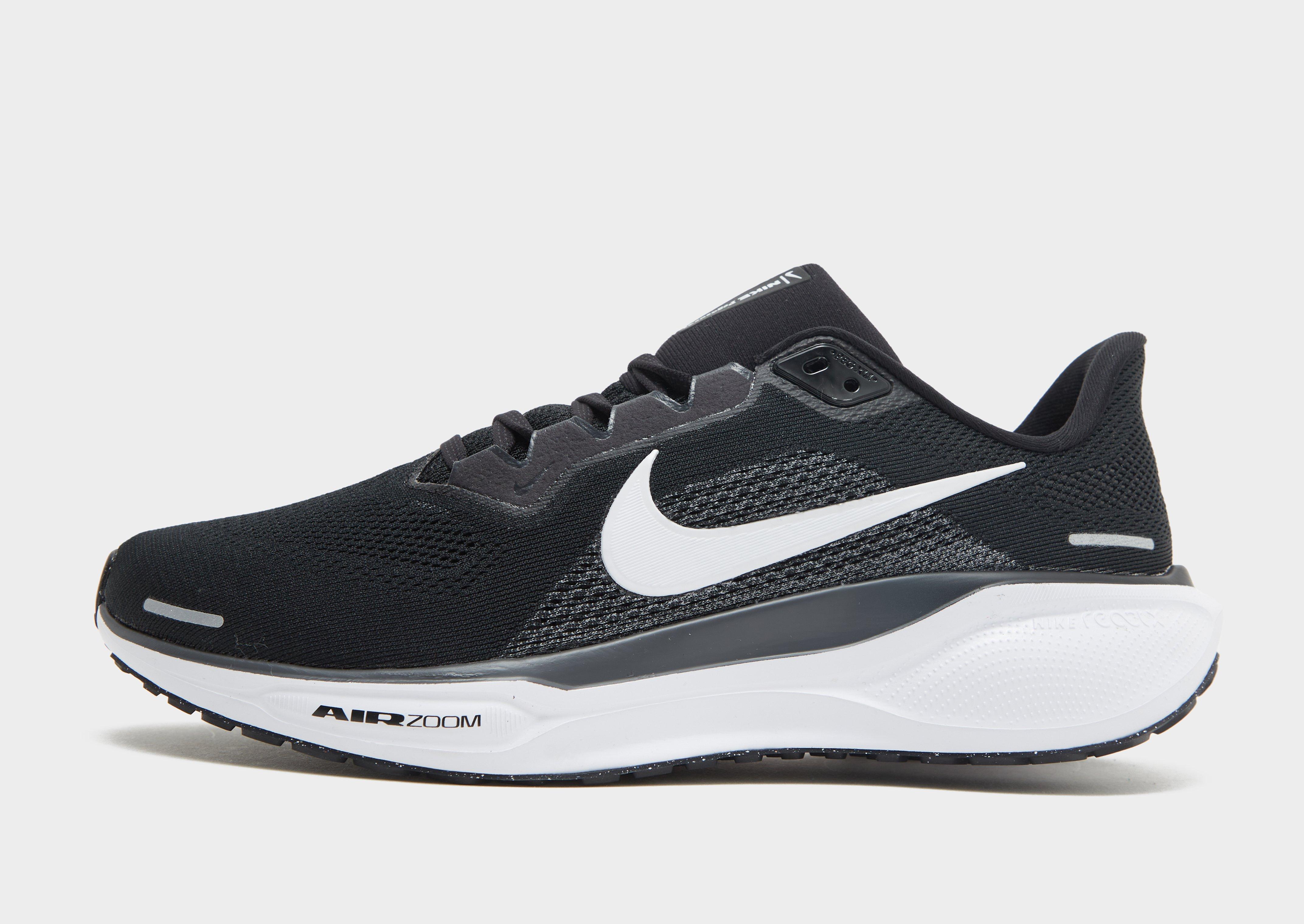 Pegasus 41