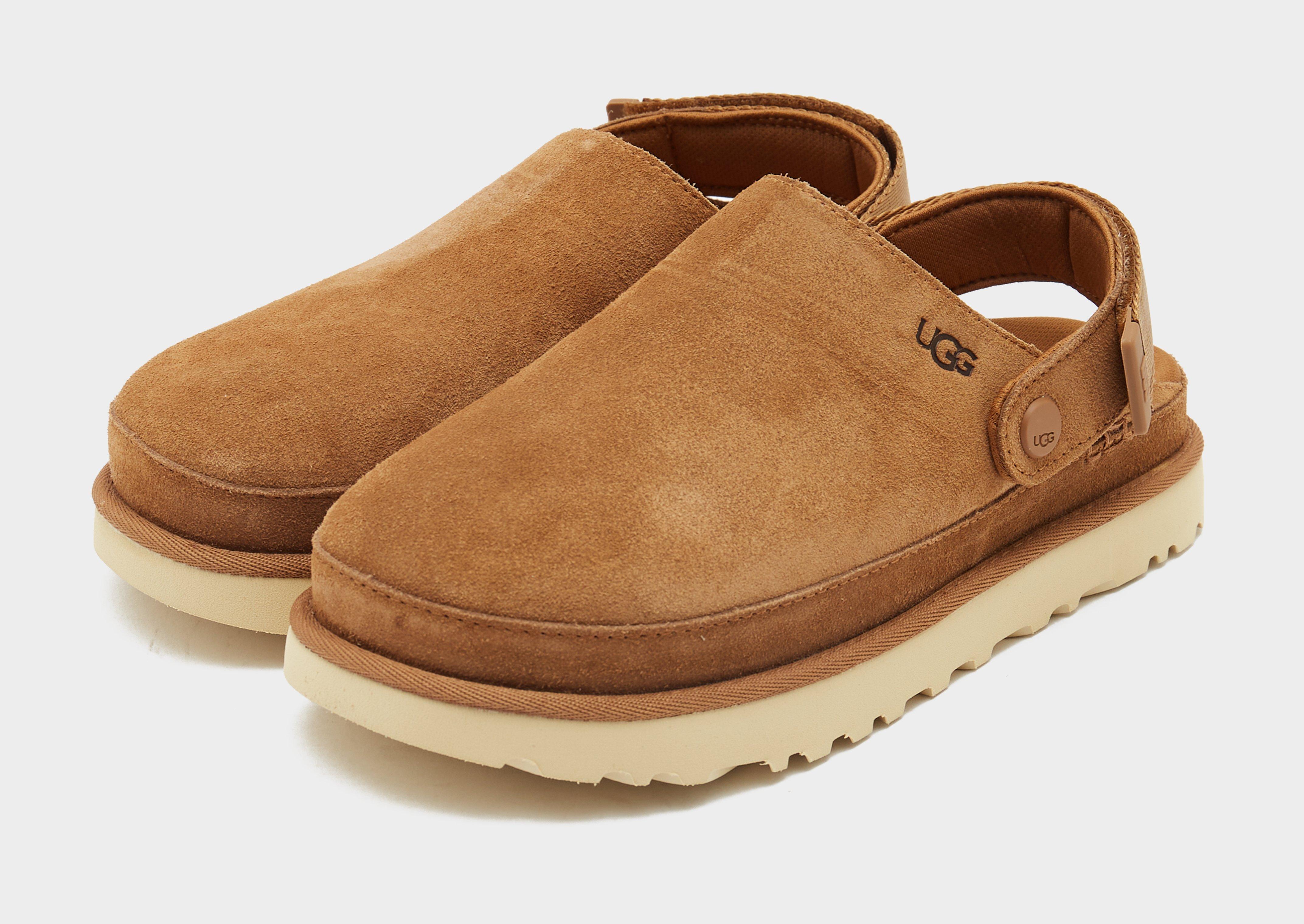 Goldenstar Clog Women's