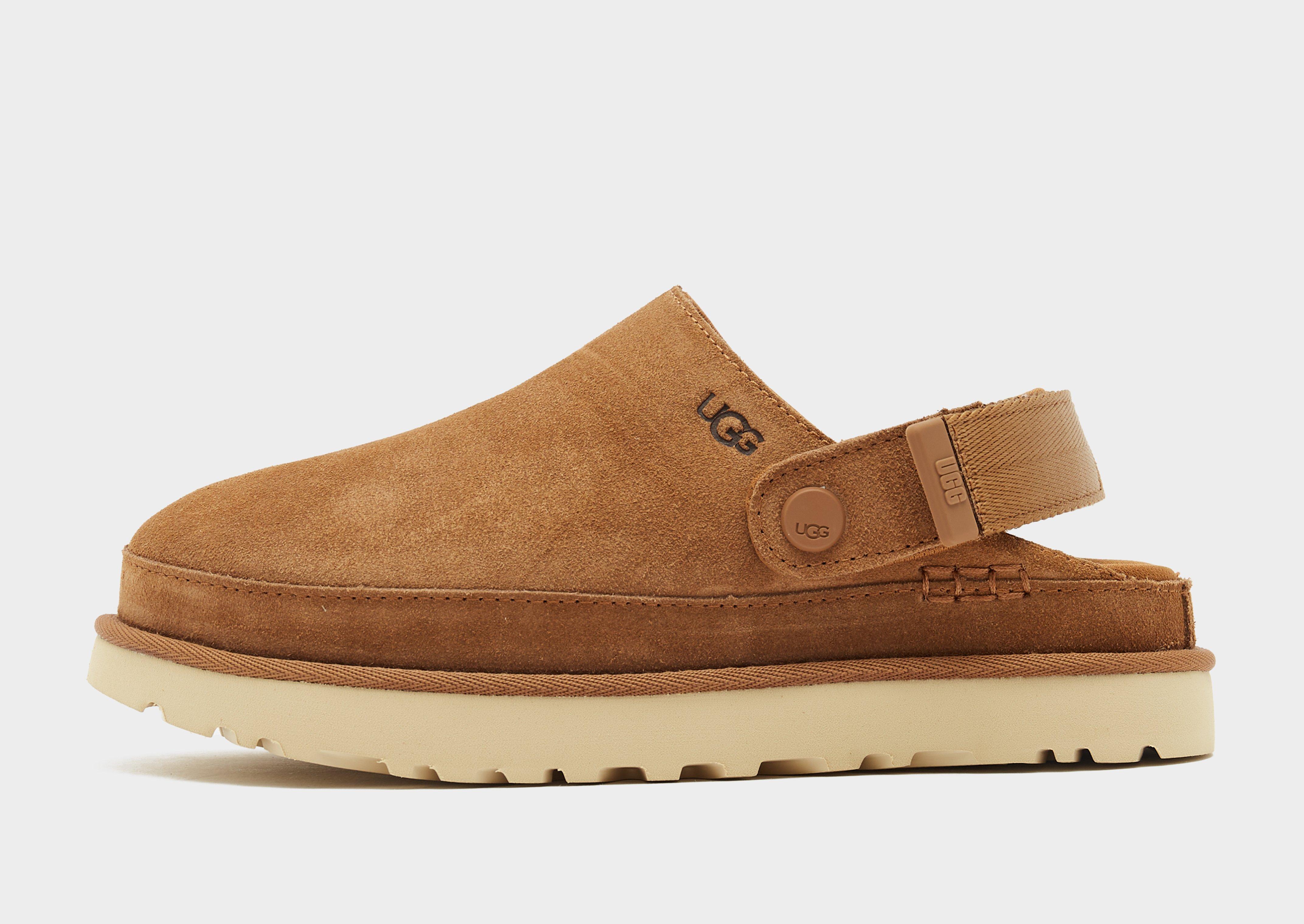 Goldenstar Clog Women's