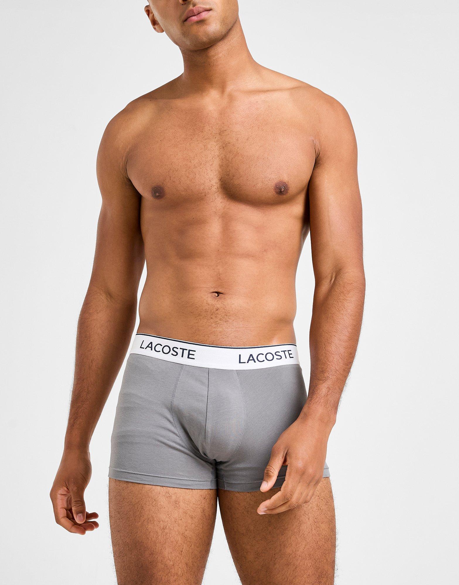3-Pack Trunks