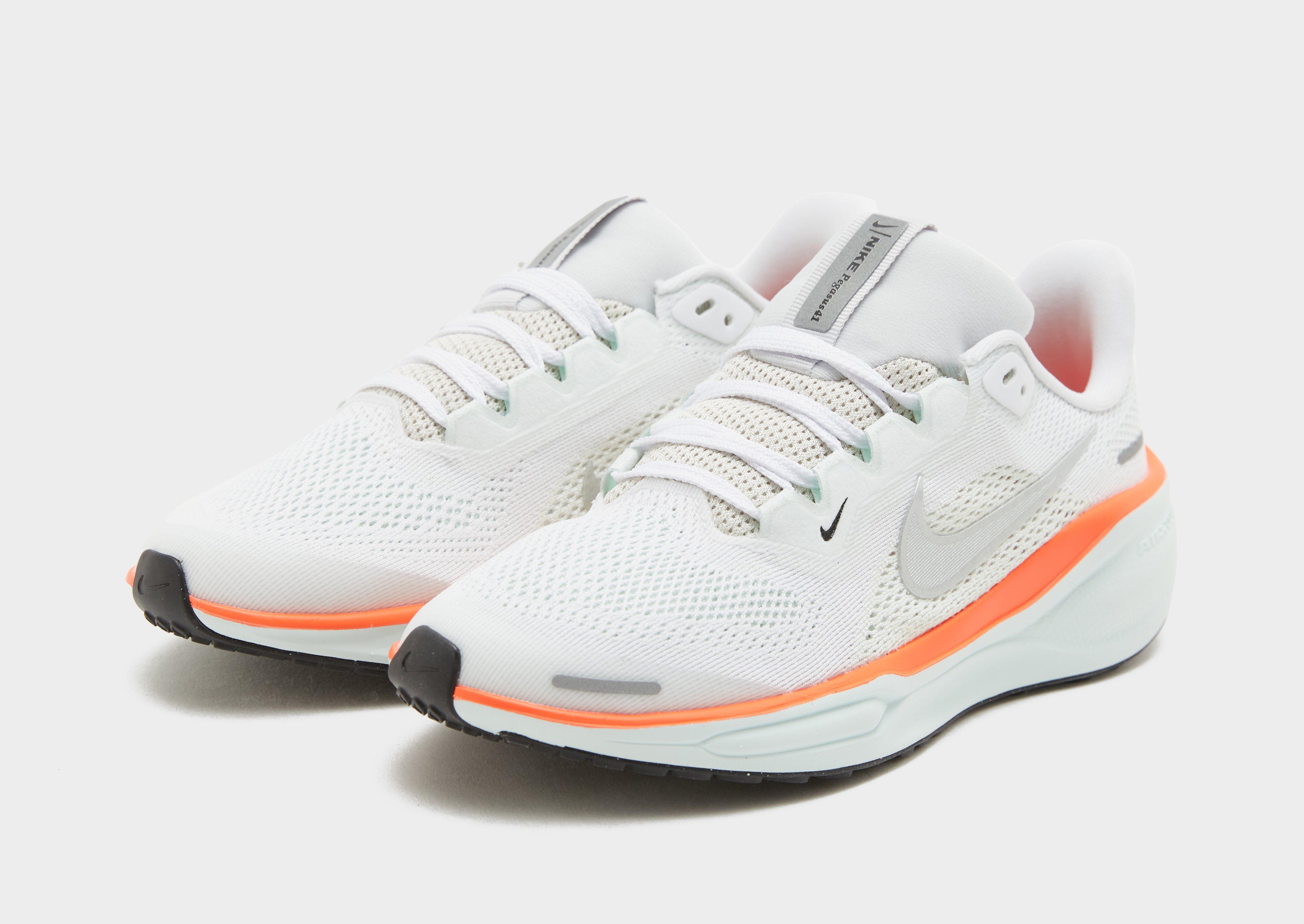 Pegasus 41 Junior