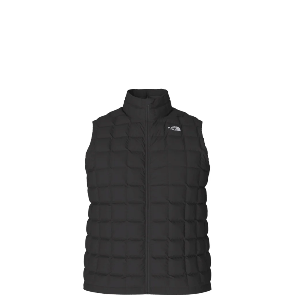 Big ThermoBall Eco Vest 2.0 (NF0A84K2) Mens 2024