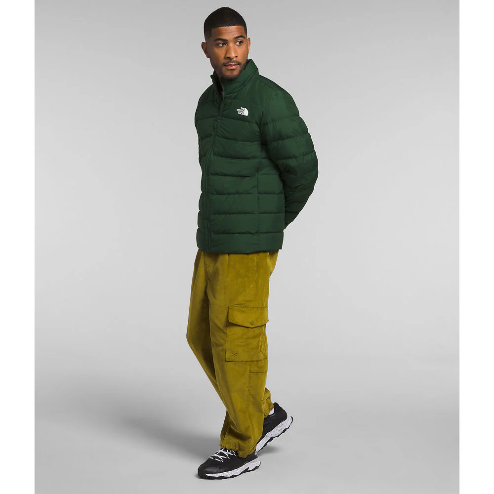 Aconcagua 3 Jacket (Men's) Pine Needle