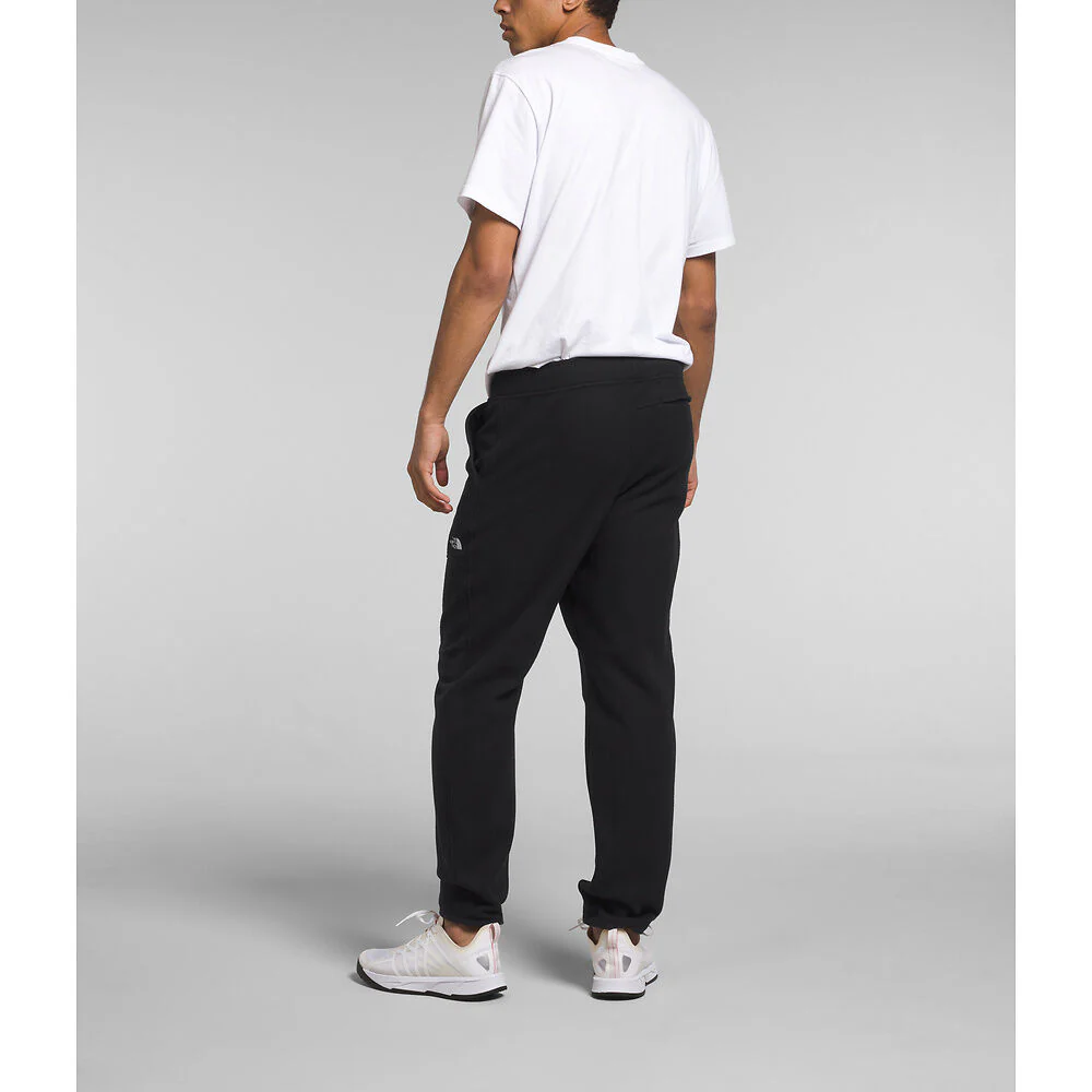 Alpine Polartec? 100 Fleece Pants (Men's)