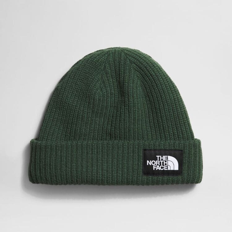 Salty Lined Beanie